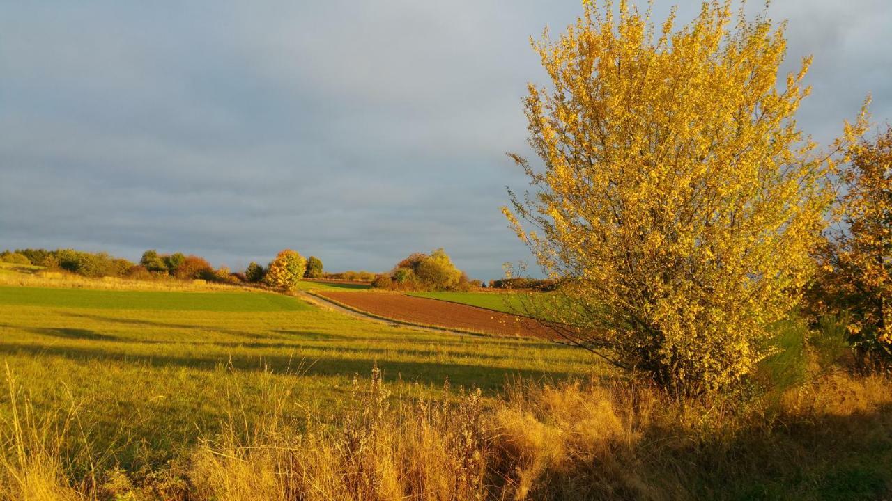 Ferienwohnung Auszeit Tholey Exteriér fotografie